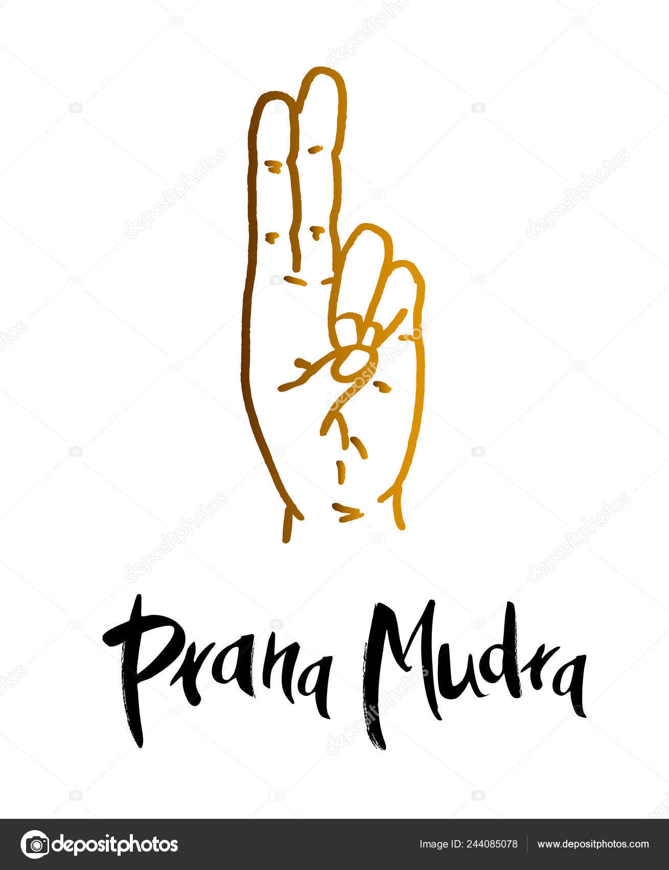 Prana Mudra Gesture Your Fingers Symbol Concept Buddhism Hinduism Prana