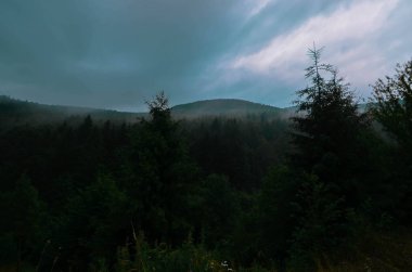 Karanlık Dağ net rüyalar.