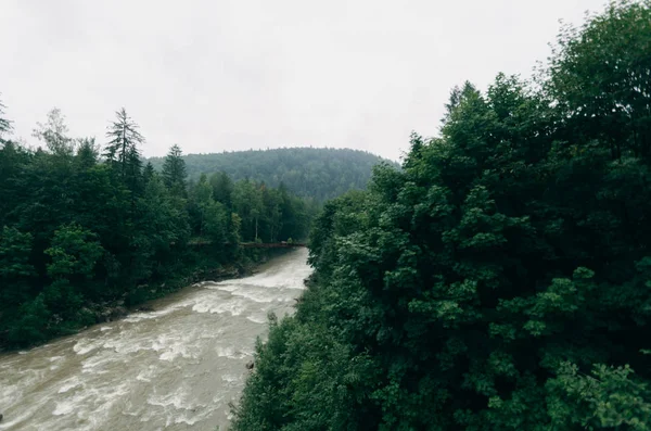 Rivière Rapide Dans Forêt — Photo