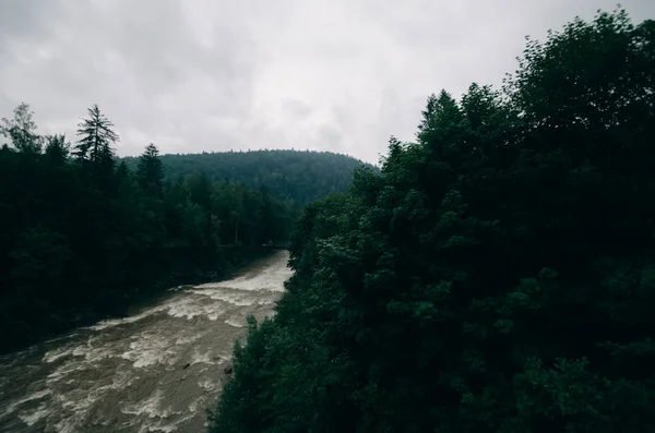 Rivière Rapide Dans Forêt — Photo