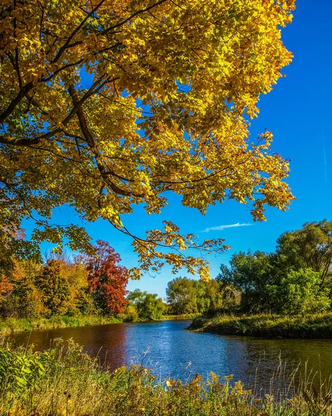 Muhteşem Sonbaharda Ontario Kredi River Mississauga Kanada — Stok fotoğraf