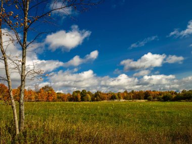 Parlak sonbahar öğleden sonra Manitoulin Adası, Ontario, Kanada
