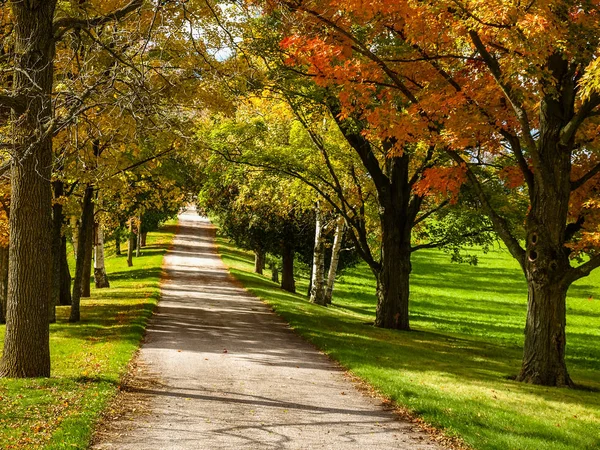 Country road with colorful foliage, Ontario, Canada
