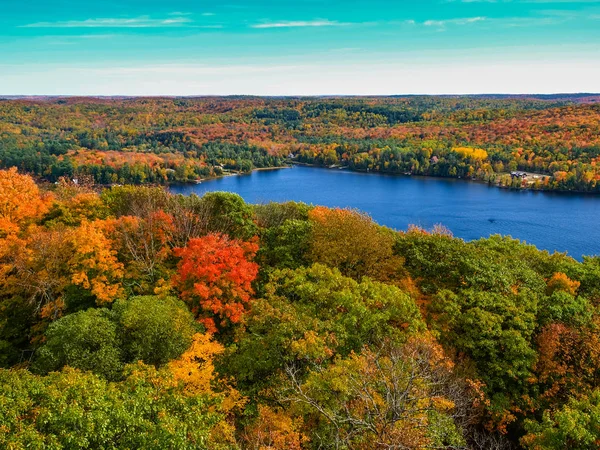 Lago Profundo Bosque Otoño — Foto de Stock