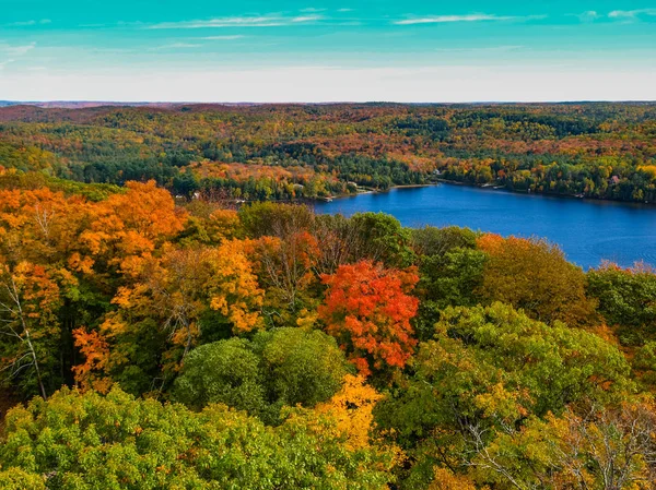 Vista Del Color Caída Lago Dorset — Foto de Stock