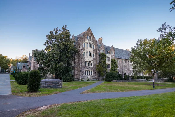 Princeton Egyetem Egyedi Kőépítészete — Stock Fotó