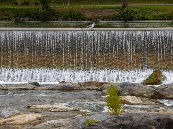 Şelalenin tepesindeki ziyaretçi, Idaho City