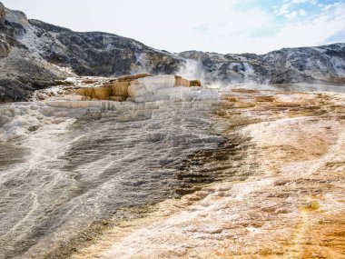 Mammoth yaylarının eşsiz toprak oyma manzara, Yellowstone Milli Parkı, ABD