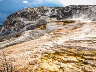 Yellowstone Ulusal Parkı'nda kükürt kaynakları ve buharlı su, ABD