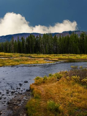 Yellowstone Ulusal Parkı'nda akan Yılan Nehri, ABD