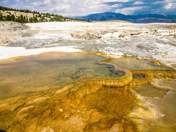 Steaming hot sulfur springs gleaming int he afternoon sun at the Yellowstone National Park, USA