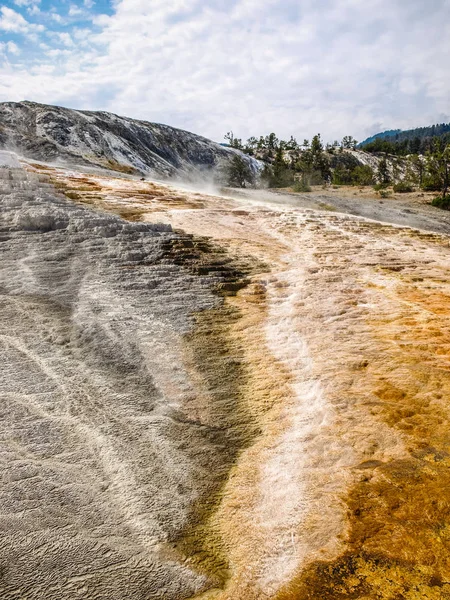 Kén Föld Nem Elrettentő Növényzet Hogy Még Yellowstone Nemzeti Parkban — Stock Fotó