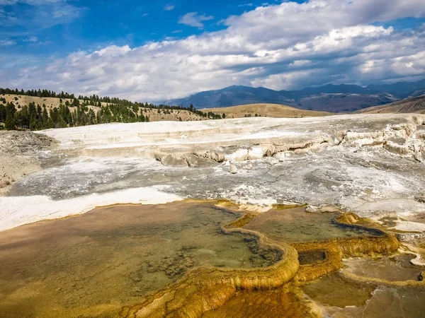 Doğa Mamut Kaplıcaları Yellowstone Milli Parkı Abd Oymalar Gibi Benzersiz — Stok fotoğraf