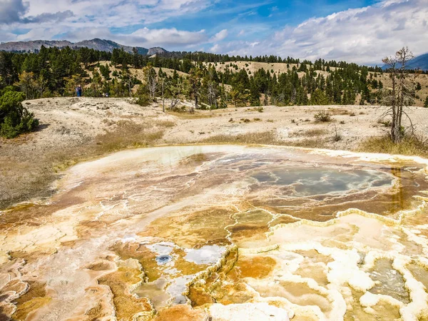 Vegetação Consegue Sobreviver Ambiente Hostil Fontes Termais Parque Nacional Yellowstone — Fotografia de Stock