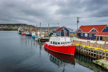 Bonavista, Newfoundland eğlence tekneleri