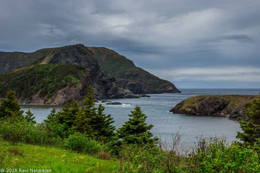Cloudy and warm Bottle Cove, Gros Morne National Park, Newfoundland clipart