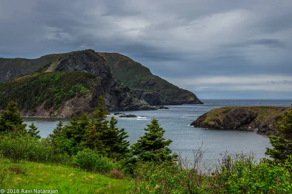 Bulutlu ve sıcak şişe Cove, Gros Morne Milli Parkı, Newfoundland