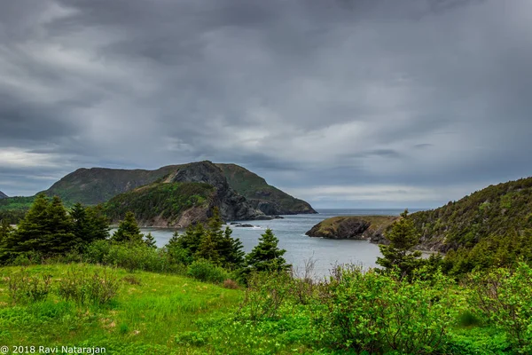 Překrásný Flakon Cove Gros Morne Národní Park Newfoundland — Stock fotografie