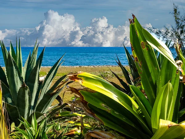 Nubes sobre el océano azul — Foto de Stock