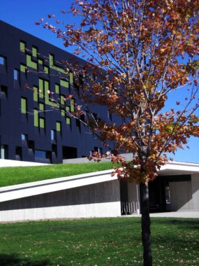 Dünya standartlarında araştırma için Çevre Enstitüsü