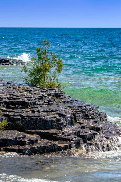 Vegetation överlever fortfarande på dessa klippor sjön Huron öar, på — Stockfoto