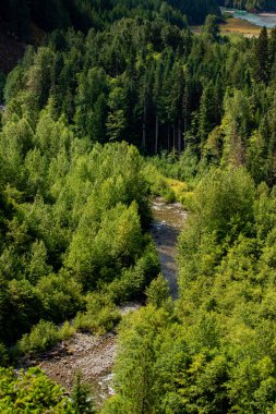 Yukarıdan görülen nehir yürüyüşü - Brandywine nehri