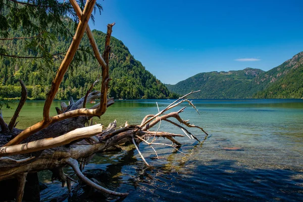 Acque cristalline del lago Cameron, isola di Vancouver, BC — Foto Stock