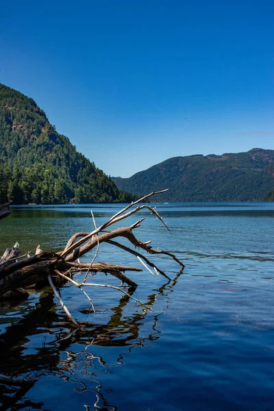 Low down view of Lake Cameron, Vancouver Island, BC — Stok Foto