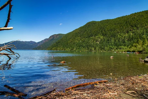 Log terdampar di dekat Danau Cameron, Pulau Vancouver, BC — Stok Foto