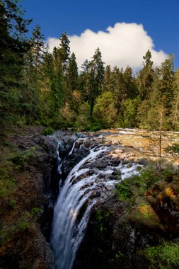 Şelaleye yakın parlak bir gün - İngiliz nehri düşüyor, Vancouver Adası, Bc