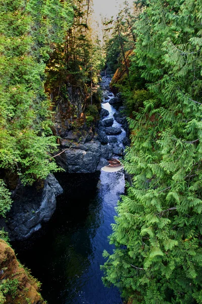 Bird's Eye View van de River-Englishman River Falls, Vancouver Island, BC — Stockfoto