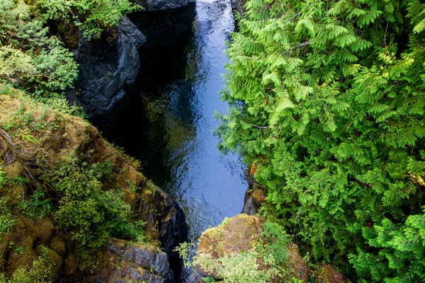 Tyst flod från toppen-Englishman River Falls, Vancouver Island, BC — Stockfoto