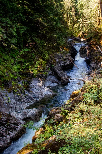 Una cascata più piccola a monte - Cascate del fiume Englishman, Vancouver Island, BC — Foto Stock