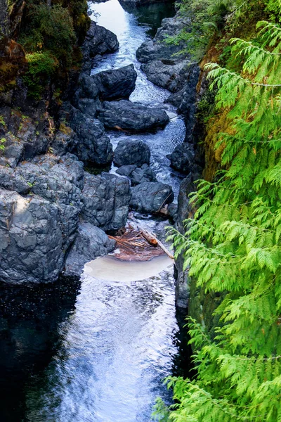 Hard slog for the river - Englishman river falls, Vancouver Island, BC — Stock Photo, Image