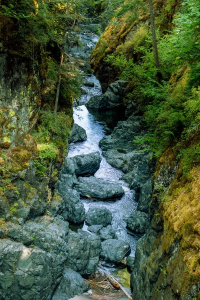 Rotsen worden uitgehouwen door de River-Englishman River Falls, Vancouver Island, BC — Stockfoto