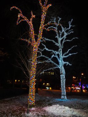 Renkli ağaçlar Gece gökyüzünde