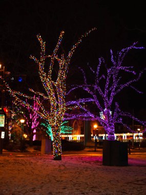 Renkli ışıklar tatil mevsiminde ağaçlardaki yaprakların yerini alır.