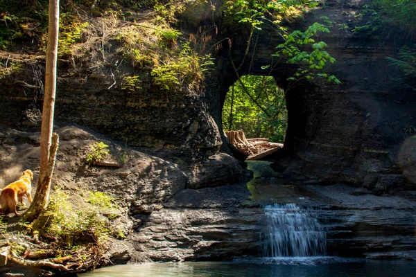 Su dağdan aşağı, Hitw 'daki gölete damlıyor.
