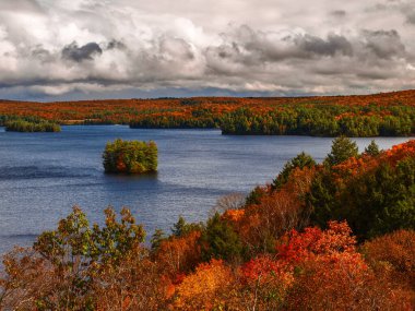 Aslanlar Huntsville, ON, Kanada 'yı gösteriyor