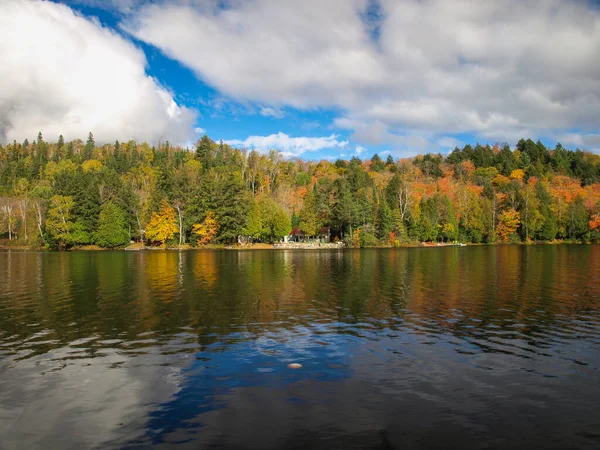 カナダのアルゴンキン州立公園の無数の湖 — ストック写真