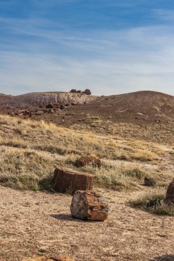Göz alabildiğince taşlaşmış kayalar, Taşlaşmış Ulusal Forrest, AZ, ABD
