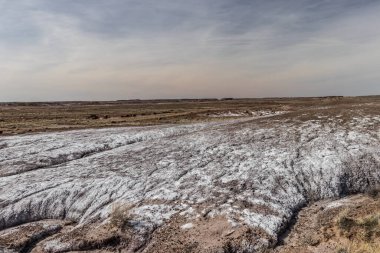 Dünya dışı arazi oluşumu Ulusal Ormanı Taşlaştırdı, AZ, ABD