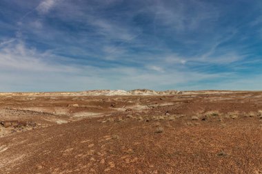 Garip kayalıklarla dolu parlak bir öğleden sonra, Taşlaşmış Ulusal Forrest, AZ, ABD