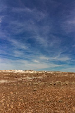 Mavi gökyüzü yeryüzüne hakim, Taşlaşmış Ulusal Orman, AZ, ABD