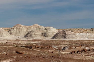 Taşlaşmış odun ve kumtaşı tepeleri Taşlaşmış Ulusal Forrest, AZ, ABD