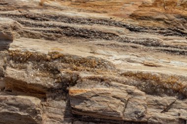 Taşlaşmış Ulusal Orman, AZ, ABD 'de öğleden sonra güneşinde parıldayan mineraller.