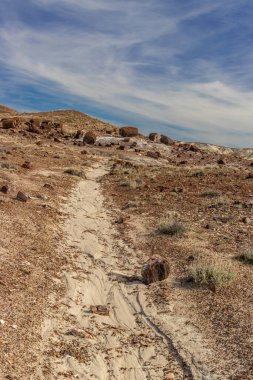 Kum nehri taşlaşmış Ulusal Forrest, AZ, ABD 'deki kayalara çıkıyor.