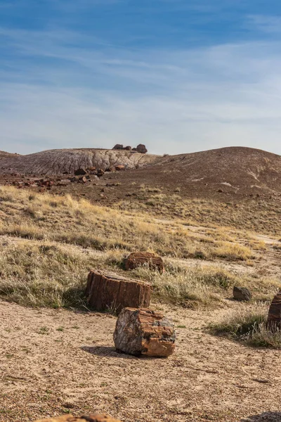 Göz alabildiğince taşlaşmış kayalar, Taşlaşmış Ulusal Forrest, AZ, ABD