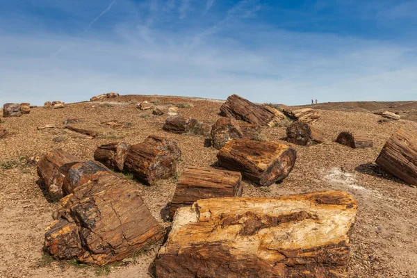 Değerli jeolojik malzemelerle dolu çöl, Taşlaşmış Ulusal Forrest, AZ, ABD