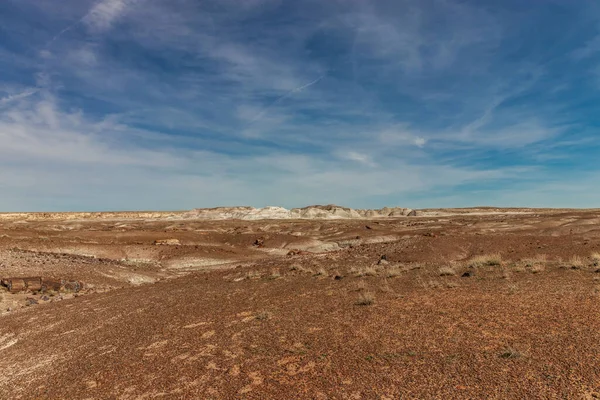 Garip kayalıklarla dolu parlak bir öğleden sonra, Taşlaşmış Ulusal Forrest, AZ, ABD